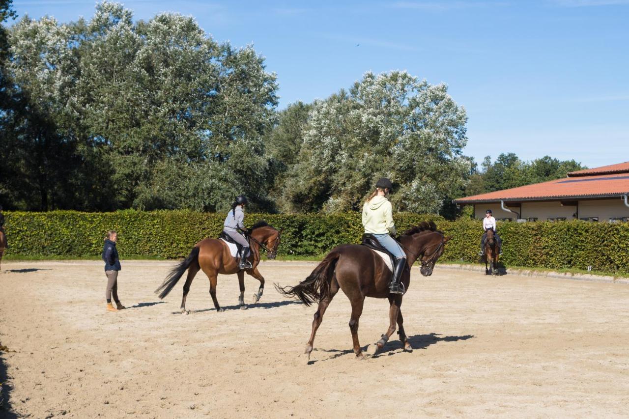Feriehus Heidegut Reitsportanlage Und Eschede