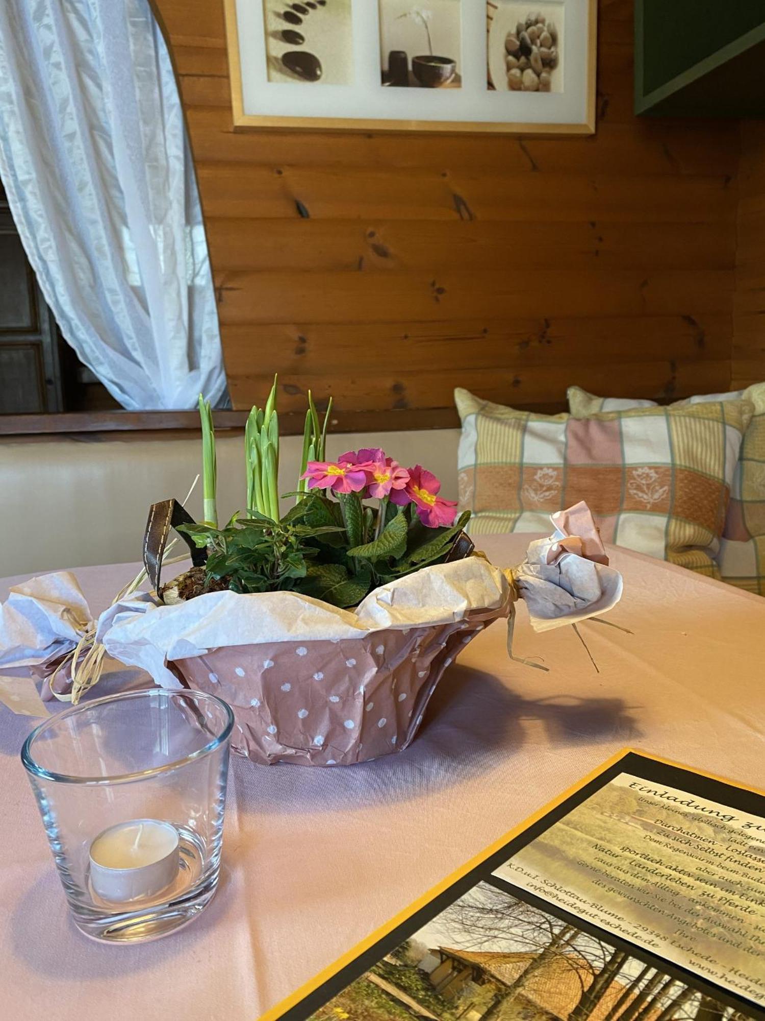 Feriehus Heidegut Reitsportanlage Und *
