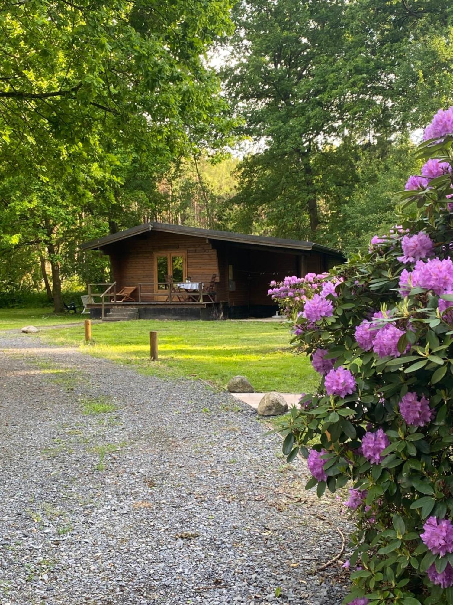 Feriehus Heidegut Reitsportanlage Und *
