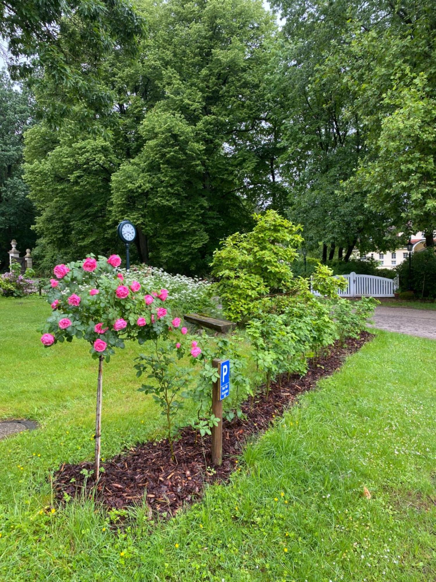 Heidegut Reitsportanlage Und Feriehus