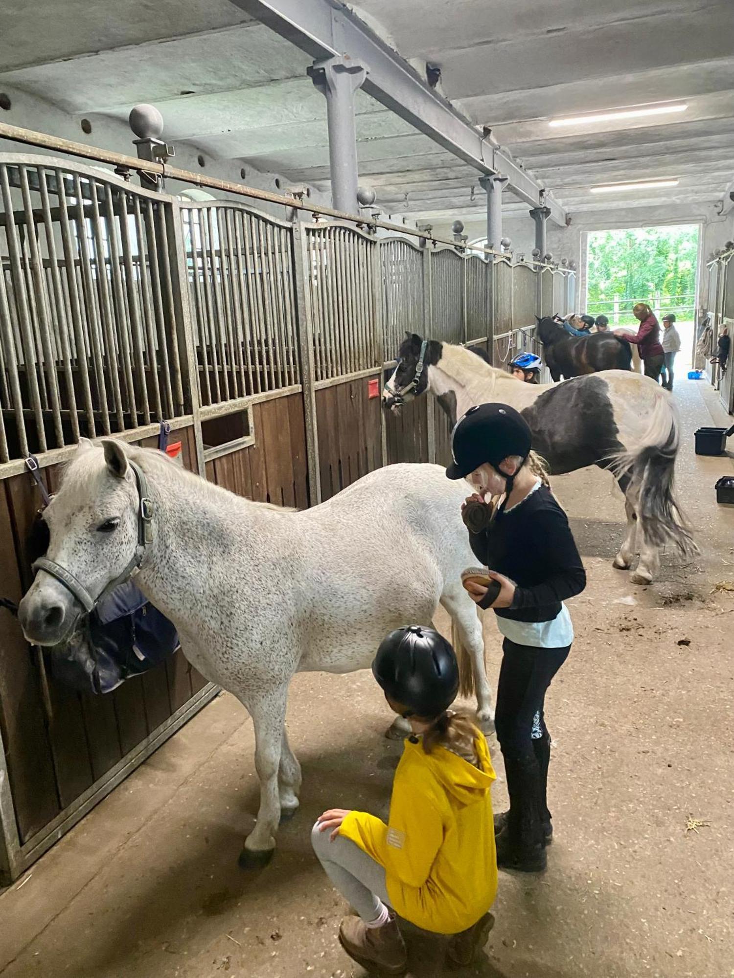 Feriehus Heidegut Reitsportanlage Und *
