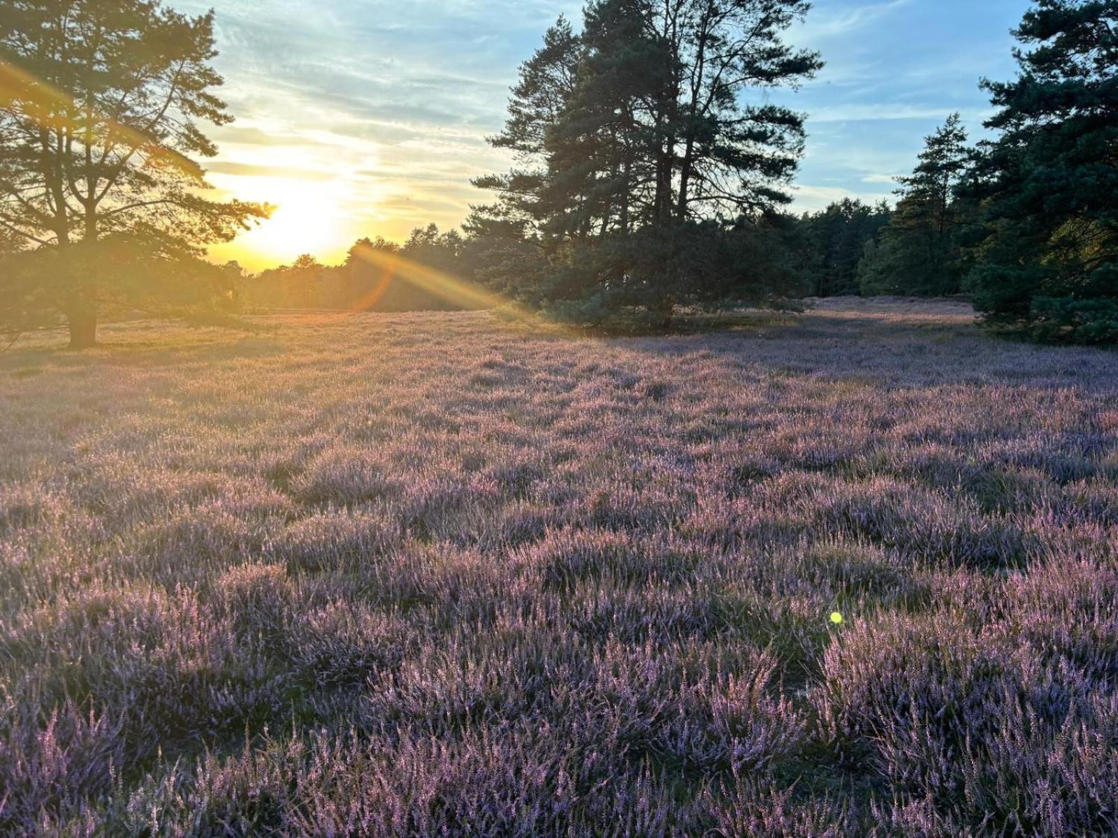 Feriehus Heidegut Reitsportanlage Und *