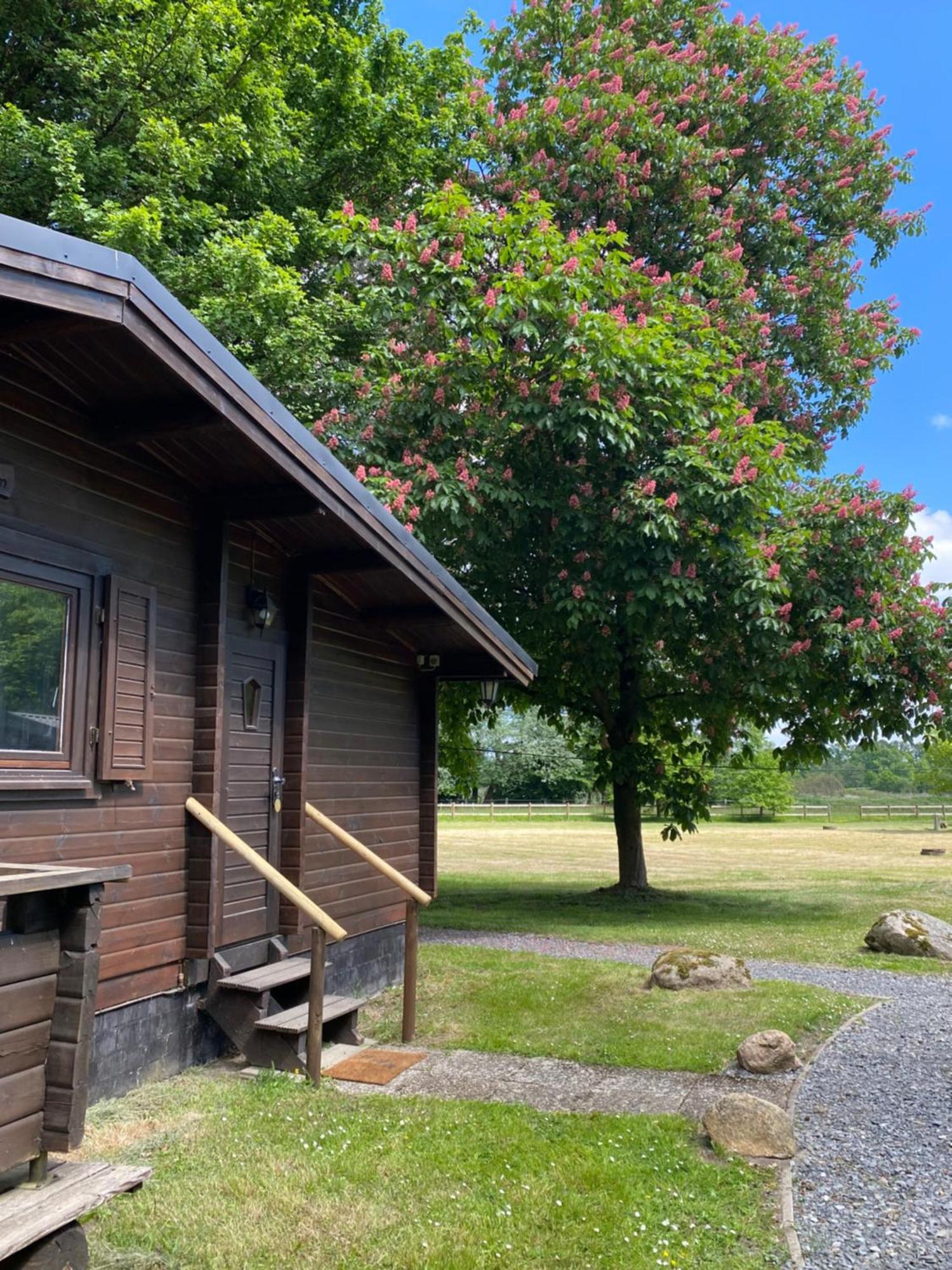 Feriehus Heidegut Reitsportanlage Und Eschede